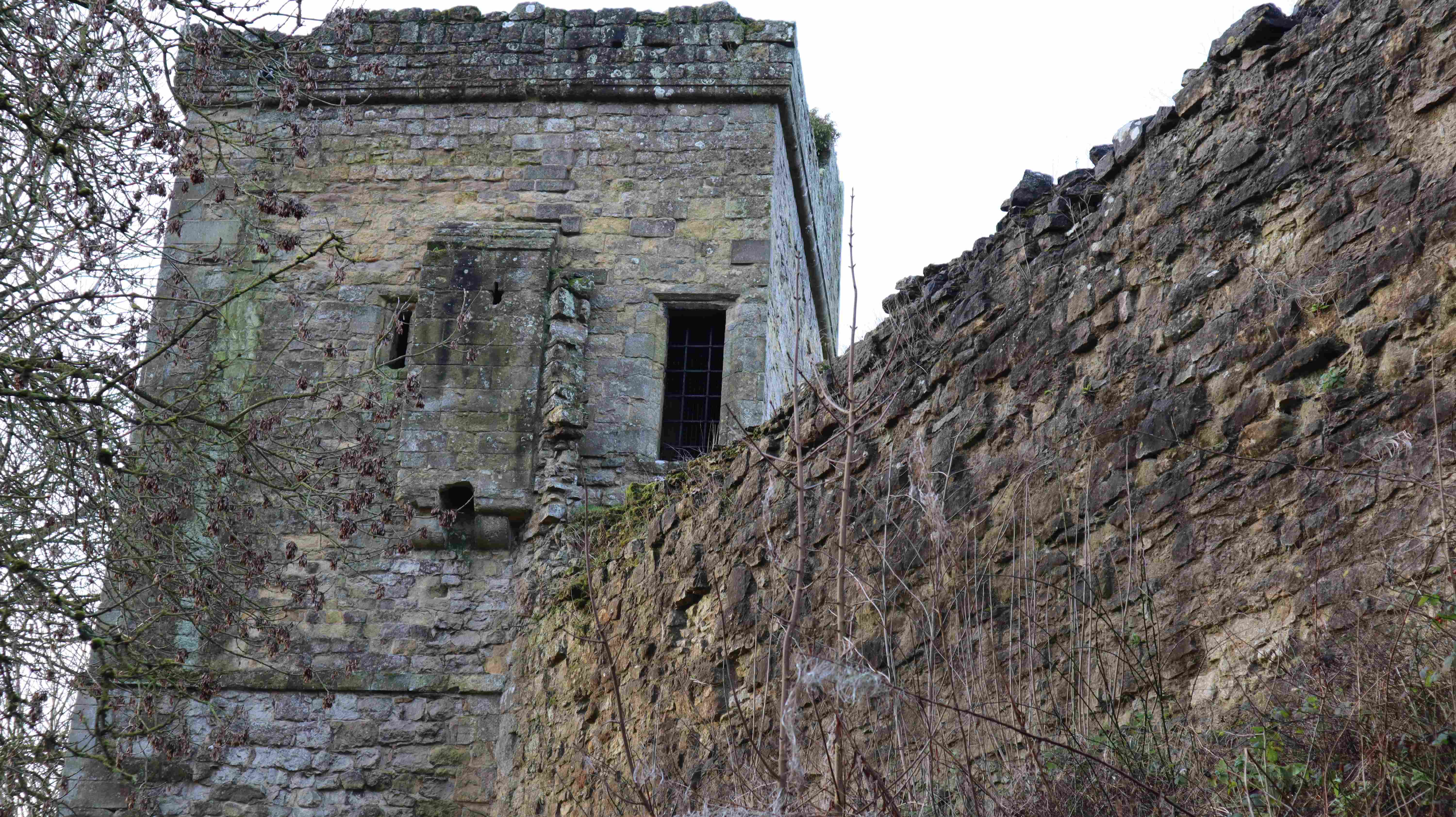 Pickering Castle