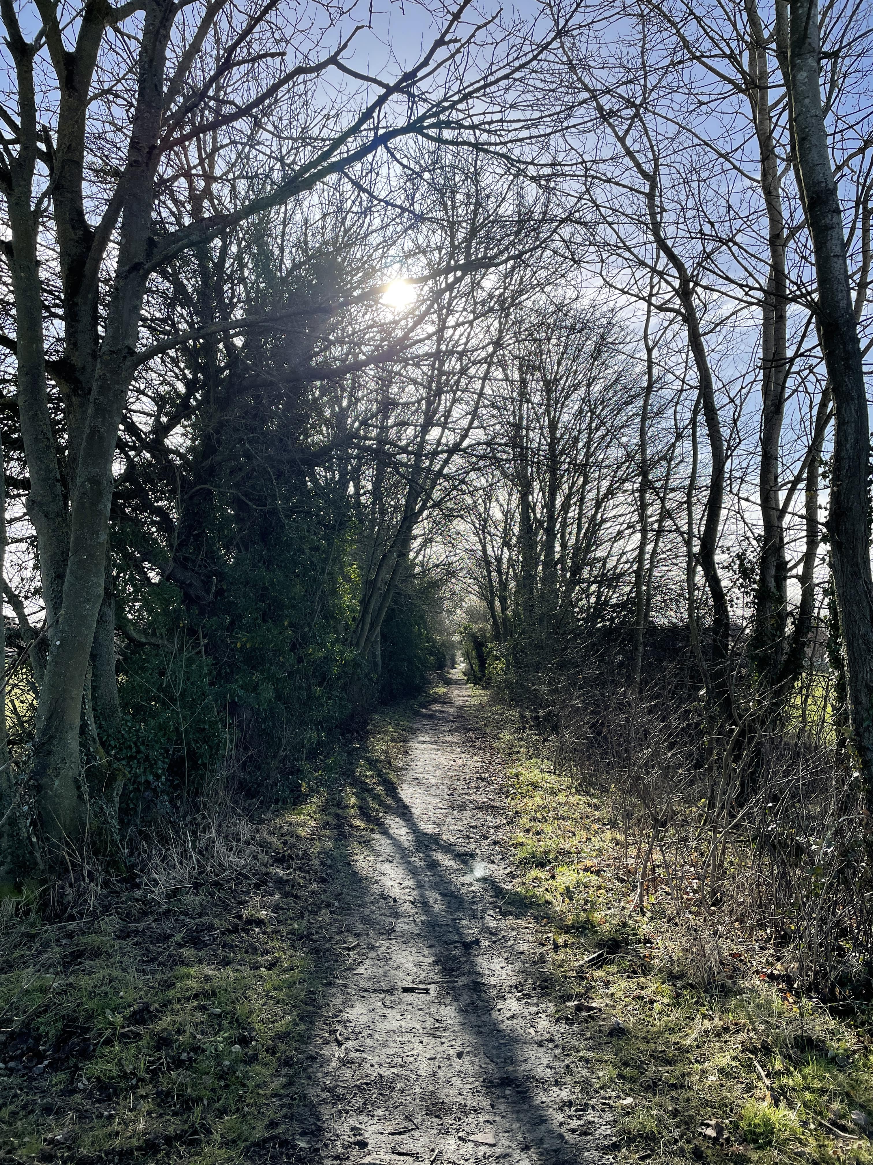 Pickering Woodland Walks