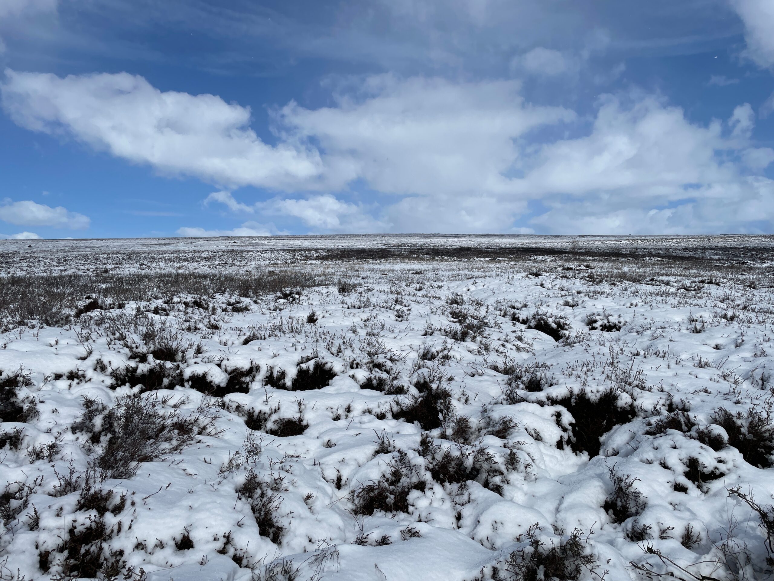 North York Moors National Park